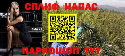 стаф Тверь