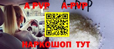 гашик Тара
