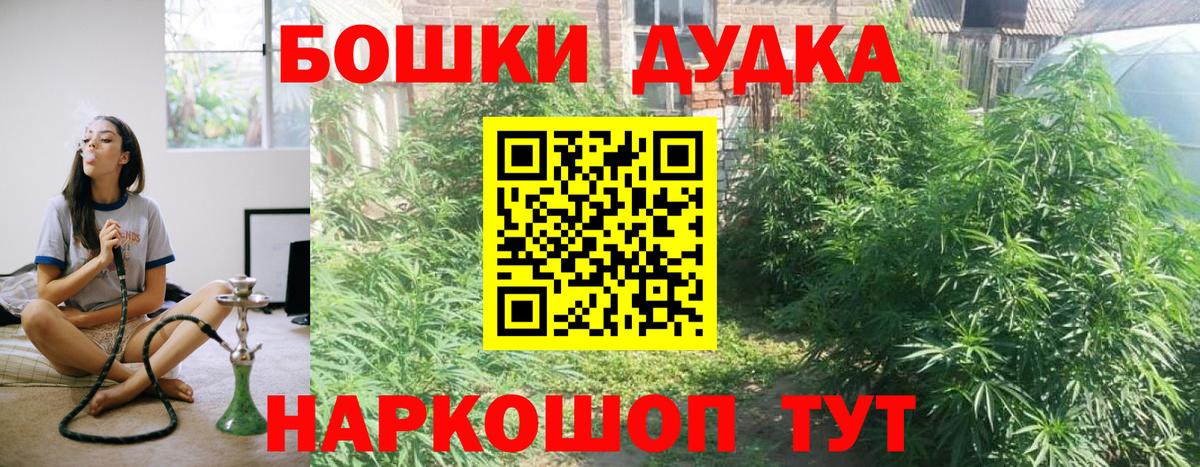 Конопля конопля Гатчина